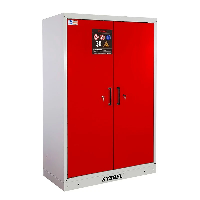 EN 14470-2 30-Minute Protection Fire-Resistant Gas Cylinder Storage Cabinet For 4 Cylinders suppliers